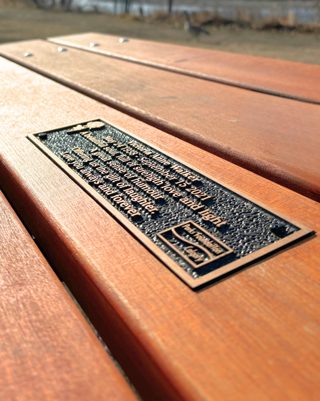 Parks Foundation Picnic Table